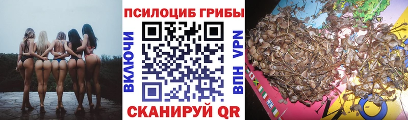 Псилоцибиновые грибы GOLDEN TEACHER  Торжок 