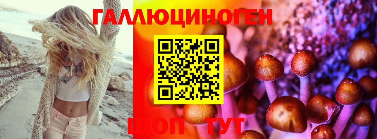 Торжок  Псилоцибиновые грибы Cubensis  Вход с VPN 