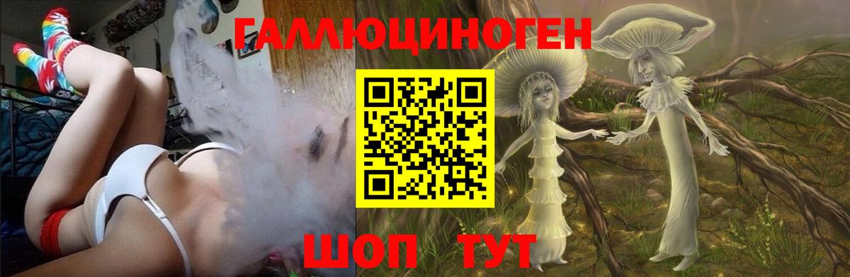 Галлюциногенные грибы GOLDEN TEACHER Торжок